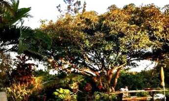 Imagem 3: Lindo sítio com 5.700m² no Litoral Norte - Barra do Pojuca