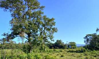 Imagem 6: Fazenda/Sítio/Chácara para venda tem 0 metros quadrados com 2 quartos