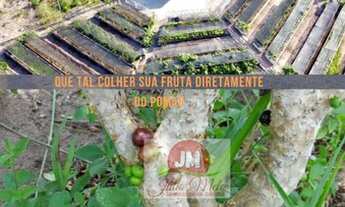 Imagem 2: Lote no Green ville