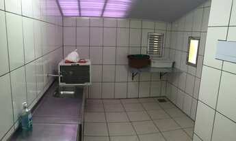 Imagem 4: Palmito pupunha Fazendinha Juquia