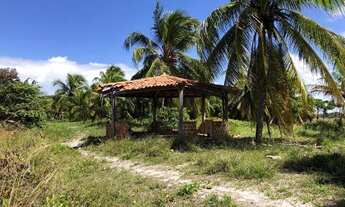 Imagem 3: Lote/Terreno para venda tem 350000 metros quadrados em Centro - Camaçari - BA