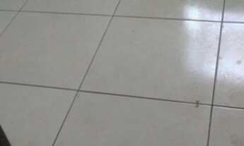 Imagem 3: Apartamento Apartamento com 2 dormitórios