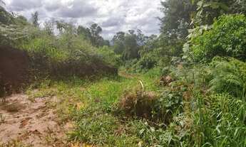 Imagem 6: Chácara 20.000 m² - Campo Largo - São Silvestre - Herval do Castro