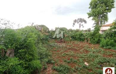 Imagem 3: Terreno (terreno normal