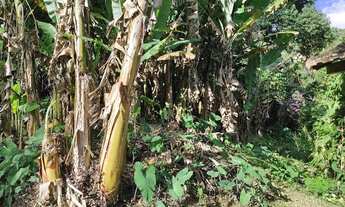 Imagem 3: Excelente terreno Residencial, investimento imobiliário, condomínio, etc... Albuquerque