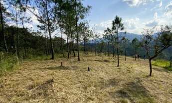 Imagem 2: Negócie com o dono