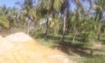 Imagem 6: Terreno Terreno / lote com venda por R$25