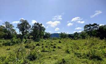 Imagem 7: Fazenda/Sítio/Chácara para venda tem 0 metros quadrados com 2 quartos