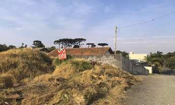 Imagem 2: Lote/Terreno Jardim Boa Vista - Campo Largo - PR
