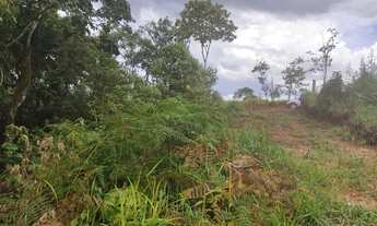 Imagem 5: Chácara 20.000 m² - Campo Largo - São Silvestre - Herval do Castro