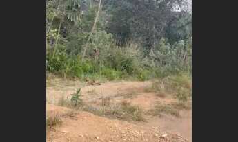 Imagem 4: Chácara a venda