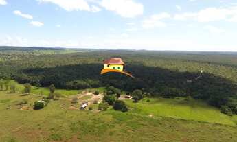 Imagem 4: Fazenda para Venda, Região produtora em expansão