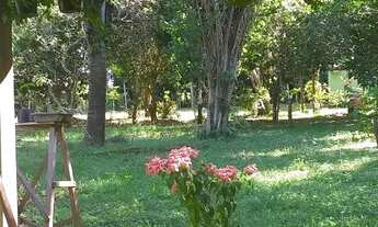 Imagem 7: Alugo sítio lindo dentro da cidade