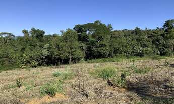 Imagem 4: TERRENO RURAL 20.000M2 PLANO COCUERA