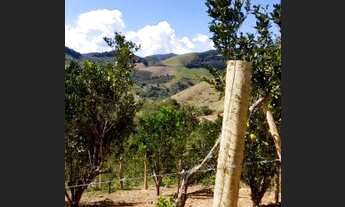 Imagem 4: Terreno Área rural, com plantação de Pocan