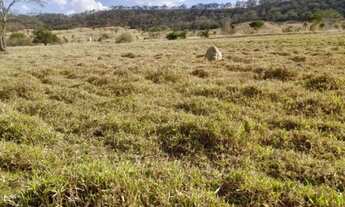 Imagem 5: Chácaras de 3 hectares em varjão a 55 km de Goiânia !