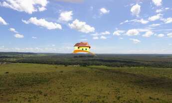 Imagem 5: Fazenda para Venda, Região produtora em expansão