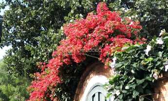 Imagem 1: Casa - Jardim Chapadão - Campinas