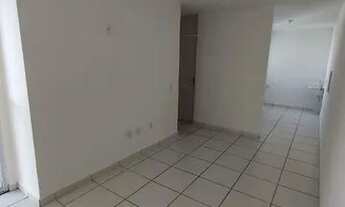 Imagem 3: Aluguel Conquista Torquato