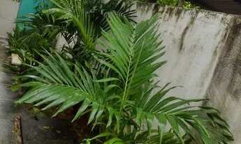 Imagem 2: Casa para aluguel possui 60 metros quadrados com 2 quartos em Nossa Senhora do Ó - Paulist