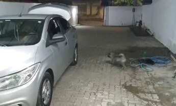 Imagem 6: Casa ampla na Restinga Nova!