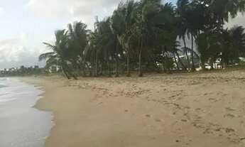 Imagem 6: ALUGO apt Terreo Com área externa espaçosa. 2 dormitórios. tratar pelo wats.83.98687.6202