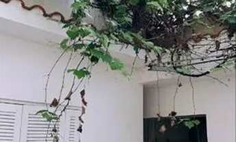 Imagem 3: São Paulo - Casa Padrão - Moema