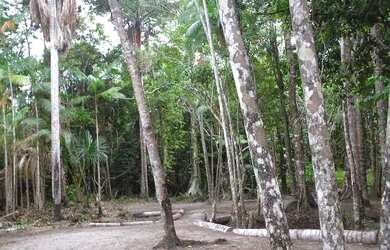Imagem 4: Sítio terreno a 19 km de Salinas Pa