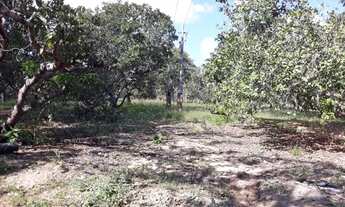 Imagem 2: Sitio Brejinho com riacho perene