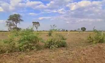 Imagem 5: Oportunidade! Vende-se uma excelente fazenda de 536 Alqueires