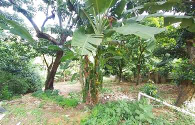 Imagem 2: Casa com dois terrenos