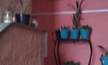 Imagem: Apt 2 quartos Madureira