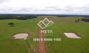 Imagem 2: Fazenda Cidade Rondonia, Pimenta Bueno