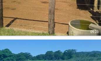 Imagem 3: Vende-se uma excelente fazenda de 666 hectares