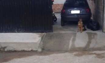 Imagem: Vendo casa ótima em Cariacica