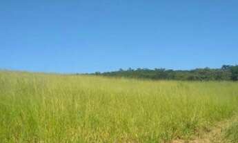 Imagem 7: Vende-se uma excelente fazenda de 666 hectares