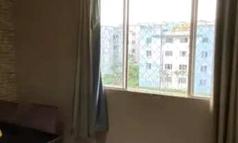 Imagem: Alpínia- Belíssimo