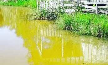 Imagem 7: Vendo mini-chacara top demais em jaru....!!!!