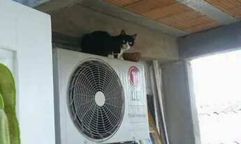 Imagem 4: Casa Granja/Anair