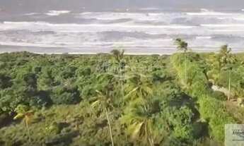 Imagem 4: Ilhéus - Área comercial para incorporação frente mar 5 hectares - Rodovia Ilhéus - Una KM