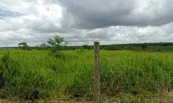 Imagem 2: Capinal4mil metros quadrados Próx a Nilo Coelho em Conquista