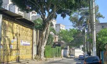 Imagem 6: Passo Ponto Pet Shop