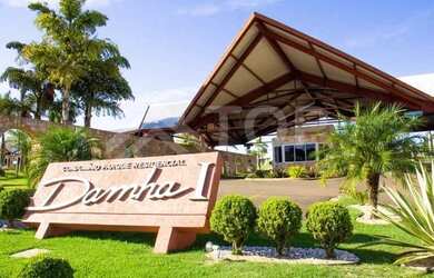 Imagem 2: Locação de Casas / Padrão na cidade de São Carlos