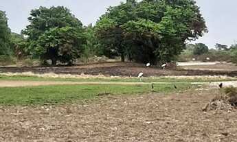 Imagem 5: Vende-se uma excelente fazenda de 104 Alqueires