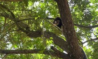 Imagem 4: Venda Casa com 3 dormitórios