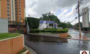 Imagem 3: Apartamento (tipo - padrao) 3 dormitórios/suite, cozinha planejada, portaria 24hs, lazer