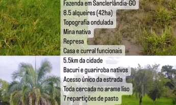 Imagem: Fazenda a venda no município de Sanclerlândia