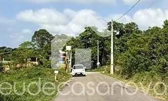 Imagem 4: 3 Lotes / Chácaras de January - Iranduba