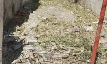 Imagem 4: Terreno Residencial em Vila Formosa