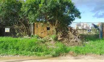 Imagem 3: Terreno de 300 m² à venda em Três Vendas, Pelotas/RS, com 10 m de frente e 30 m de lateral